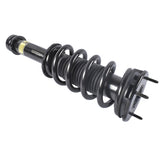Front Left or Right Coil Spring Shock Strut Assy Fits for Tesla Model S AWD 75D 85D 90D 2015-2019 58103931