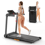 Treadmill with Incline Running Machine 2.5HP Quiet Brushless, 300 Lbs Capacity, App, Pulse Sensor 83490289
