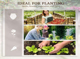 PieceRaised Garden Bed with 97775867