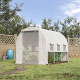 Mini Walk-in Greenhouse 06744769