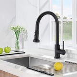 Stainless Steel Pull Down Kitchen Faucet with Sprayer Matte Black JYBB412MB