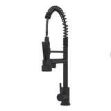 Bothwa Home CUPC Certified 19" Single Handle Kitchen Faucet B2724P262363