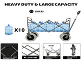 Fishing Cart with Rod Holders ,Beach Wagon with Big Wheels for Sand 500lbs capacity - All Terrain 94076665