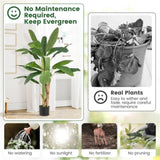 63 fake tropical palm tree 50125238