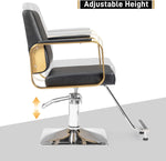 ZUN Salon Chair Styling Barber Chair, Beauty Salon Spa Equipment with Heavy Duty Hydraulic Pump, 91614347