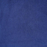 Set of 2 Blue Velvet Upholstered Side Chairs in Mirrored Silver Finish B016P324715