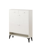 Large size Shoe Cabinet,Free Standing Tipping Bucket Shoe Rack Organizer with 2 Flip Drawers&2 W2516P185160