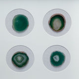 S/2 15.57x1.2x15.7" Shadow Box Wall Dcor W2078P313328