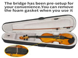 Full Size 4/4 Violin Set for Adults Beginners Students with Hard Case,Violin 08941007