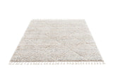 Talas Trellis Area Rug in Cream B03599883