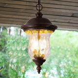 Rustic Outdoor Hanging Lantern, Weatherproof Vintage Pendant Light with Clear Glass Shade, W1340P209948