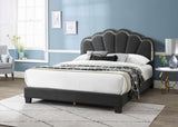 Queen Bed B089P238570
