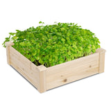 61*61*20cm Wooden Planting Frame Ground Type 70248866