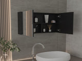 Medicine Cabinet 19.70" H, with 2 Doors, 3 Shelves, 2 Mirrors, Black B097P250836