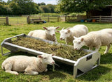 Livestock Feeding Trough 03857573