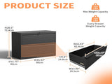 2 Drawer Lateral File Cabinet with Lock Heavy-Duty Metal Filing Cabinet for Home Office, 70120423