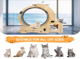 Cat Wheel 6-in-1 Cat Exercise Wheel,Upgraded Cat Wheel Exerciser for Indoor Cats,Large Cat 27068312