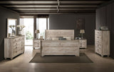 Imerland Contemporary White Wash Finish Bedroom Set with Queen Sleigh Bed, Dresser, Mirror, Two T2574P201818