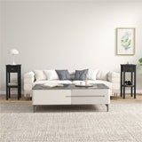 2PCS Coffee Table/Side Table 20494696