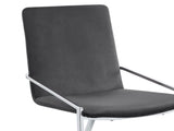Zlatan Gray Velvet & Chrome Finish Side Chair B2726P343789