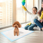 ZUN Dog mat, puppy mat, 24 inches x 18 inches, for pet training, thickened Pee mat for dogs, super 30029803