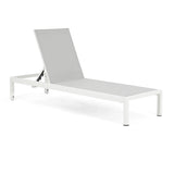 Outdoor Chaise Lounge Chair Set of 2, Aluminum Adjustable Outside Chair for Pool Patio Beach Yard, N779P248447W