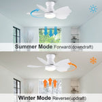 ZUN 30 In Small Kid's Ceiling Fan Lighting with Remote Control for Small Children Room W1367103341