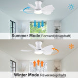 ZUN 30 In Small Kid's Ceiling Fan Lighting with Remote Control for Small Children Room W1367103341