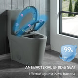 1.1/1.60 GPF Dual-Flush One Piece Toilet, Water-Saving Elongated Comfort Height Floor Mounted, Soft W1573P246723