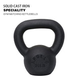 ZUN 20LBS Solid Cast Iron Kettlebells Ideal for Strength Training, Building Muscles 99221357