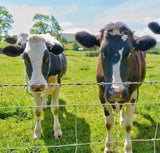 Farm Fence 5ft x 164ft 14Gauge Heavy Zinc Coating Cattle Fence,Galvanized Field Wire Fencing Deer W2286P270223