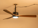 42" ABS Blades Outdoor Ceiling Fan with LED Light Remote Control,Quiet DC Motor 6 Speed W3775P459398