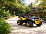 12V Kids 4-Wheeler ATV Quad, Ride-On Quad with Spring Suspension, LED Lights & Music USB for Ages 46342966