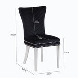ZUN Eva 2 Piece Stainless Steel Legs Chair Finish with Velvet Fabric in Black 733569377848