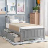Twin size Platform Bed with Two Drawers, Gray WF195105AAE