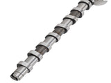 1x Exhaust Camshaft fit for Mercedes C180 CGI W204 C204 S204 1.6T GLK200 X204 2.0T 26924092
