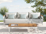 Rhodes 2pc Teak & Aluminum Outdoor Sofa and Coffee Table Set B2719P321038