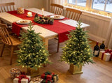 4ft Christmas Tree Set of 2 Aspen Fir Dual Color LED Remote Battery Operated 11 Modes 26539305