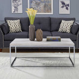 Light Oak and Chrome Coffee Table with Open Base B062P209117