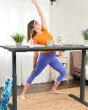 Whole Piece Electric Standing Desk, 48 x 24 Inches Height Adjustable Desk, Sit Stand Desk Home B082119963