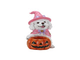 Halloween White Teddy Puppy Figurine, Witch Dog Holding Pumpkin Candy Bowl Decoration 01838696
