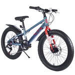 ZUN 20 Inch Kids Bicycles , Fat Tire Mountain Bike for Boys and Girls Age 5 + Years ,Dual-Disc W1019P203875