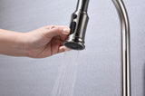 Kitchen Faucet with Pull Out Spraye W928P321798