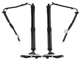 2x Tailgate Power Trunk Hatch Lift Support Shock Fit for Toyota RAV4 Limited 2.5L L4 44436334
