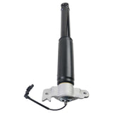 Rear Left Shock Absorber Fits for Cadillac XTS 3.6L V6 2013-2019 with Electric 22961781 20903682 75270165