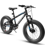 ZUN A20316 20 inch Fat Tire Bike Adult/Teen Full Shimano 7 Speed Mountain Bike, Dual Disc Brakes, High W709P185464