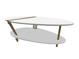 36 Inch Modern Coffee Table, Oval Elliptical Shape, White Mango Wood With Antique Brass B056P161686