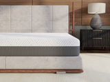 Omne Fria 10 Inch Twin Medium Firm Mattress With Cooling Cover B047P316875