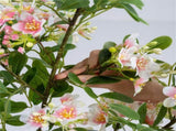 2 Pack 36" Artificial Impatiens Blossom Tree, Silk Fake Potted Flower Tree with Cement Base, 25461079
