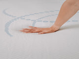 Omne Sleep 8" Memory Foam Mattress Twin in White/Light Blue B04758768